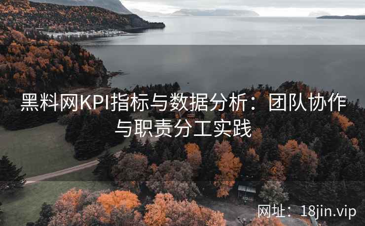 黑料网KPI指标与数据分析：团队协作与职责分工实践