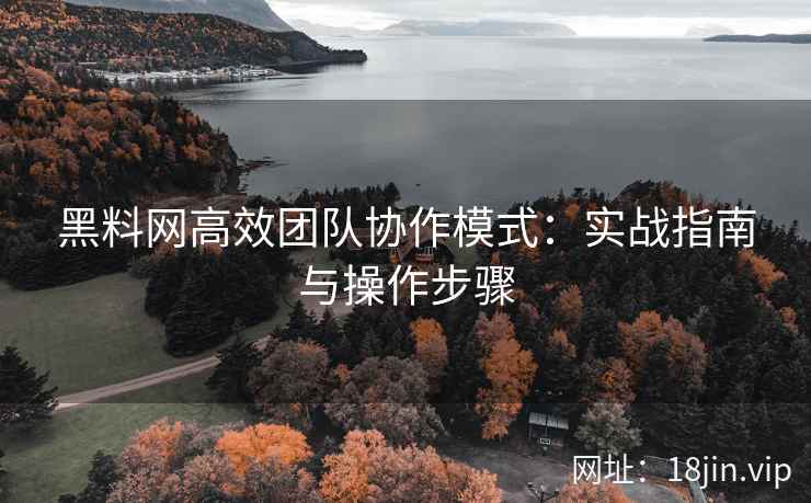 黑料网高效团队协作模式：实战指南与操作步骤