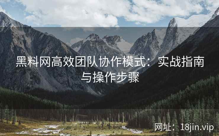 黑料网高效团队协作模式：实战指南与操作步骤