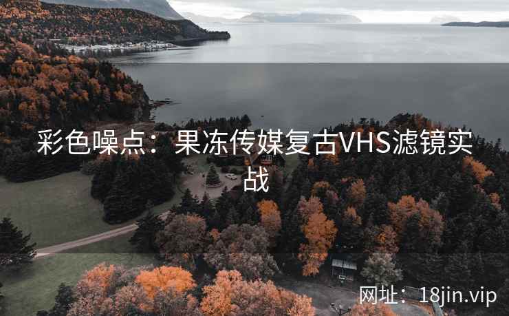 彩色噪点：果冻传媒复古VHS滤镜实战