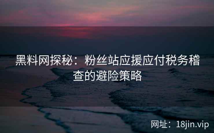 黑料网探秘：粉丝站应援应付税务稽查的避险策略