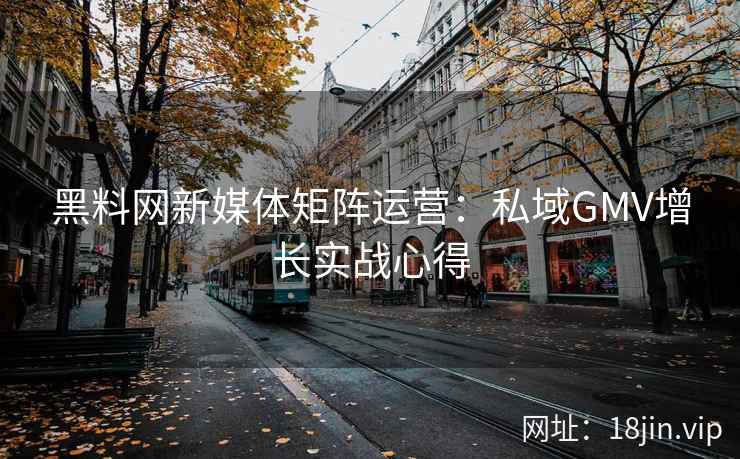 黑料网新媒体矩阵运营：私域GMV增长实战心得